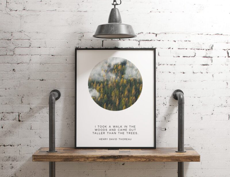 Henry David Thoreau Quote - I took a walk in the woods and came out taller than the trees.  Typography Art Print - Nature - Hiker - Gift - Image 2