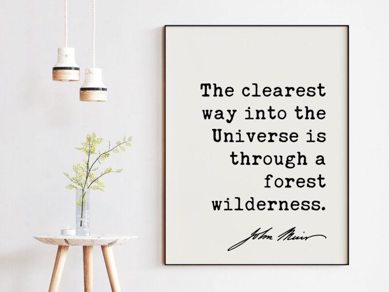 The clearest way into the Universe is through a forest wilderness. John Muir Quote Art Print - Nature - Environmentalist - John Muir Quote