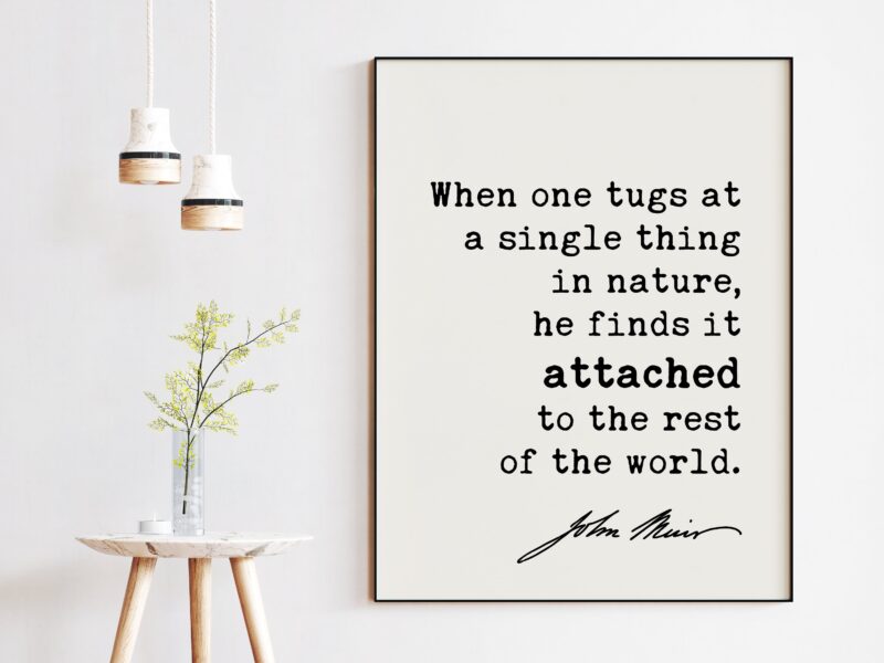 When one tugs at a single thing in nature, he finds it attached to the rest of the world. John Muir Quote Art Print - John Muir Quotes