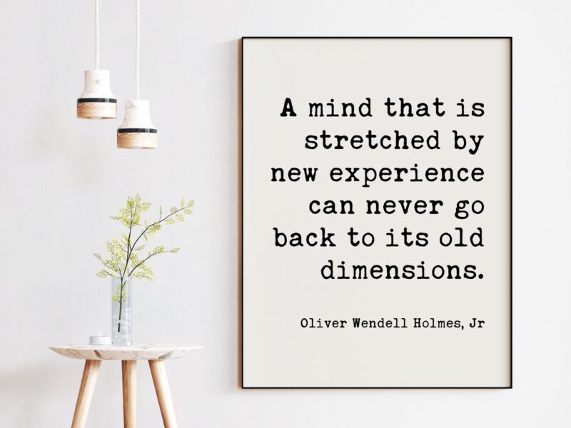 Oliver Wendell Holmes, Jr. Quote - A mind that is stretched by new experience. Art Print - Travel Quotes - Nursery Art - Adventure Quotes - Image 2