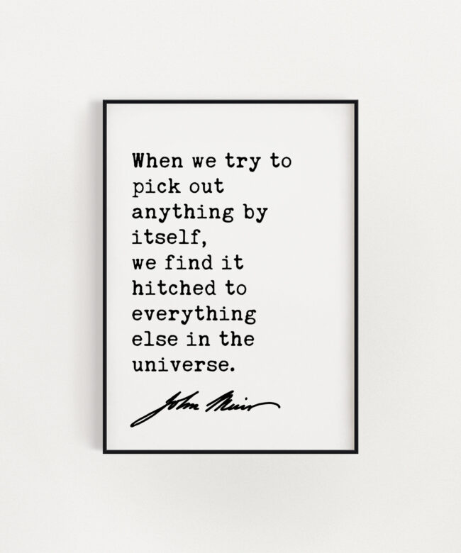 John Muir Quote - When we try to pick out anything by itself, we find it hitched to everything else in the universe. Art Print