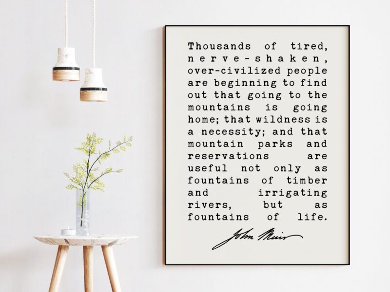 Thousands of tired, nerve-shaken ... going to the mountains is going home; wildness is a necessity. John Muir Quote Print - John Muir Quotes - Image 2