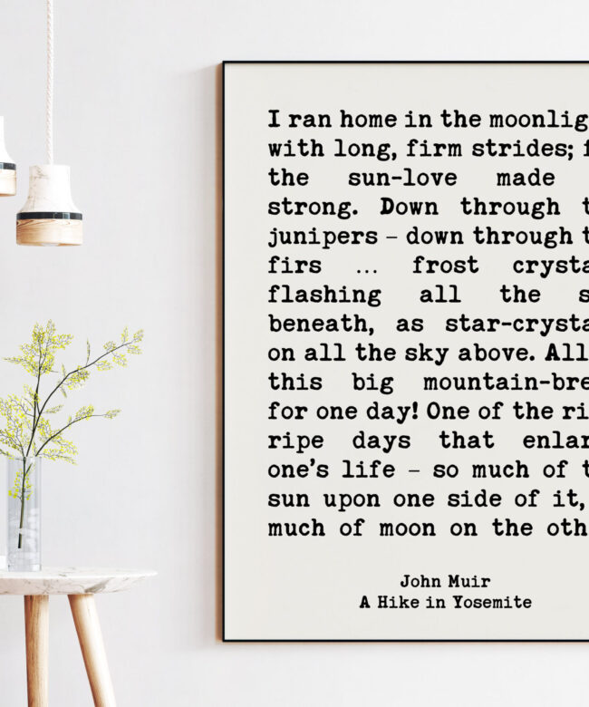 John Muir Quote I ran home in the moonlight, with long, firm strides; for the sun-love made me strong.  Art Print - A Hike in Yosemite