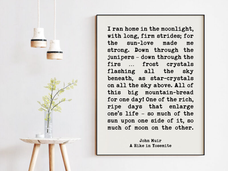 John Muir Quote I ran home in the moonlight, with long, firm strides; for the sun-love made me strong.  Art Print - A Hike in Yosemite