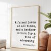Proverbs 17:17  A friend loves at all times, and a brother is born for a time of adversity. Art Print - Faith - Religious - Scripture