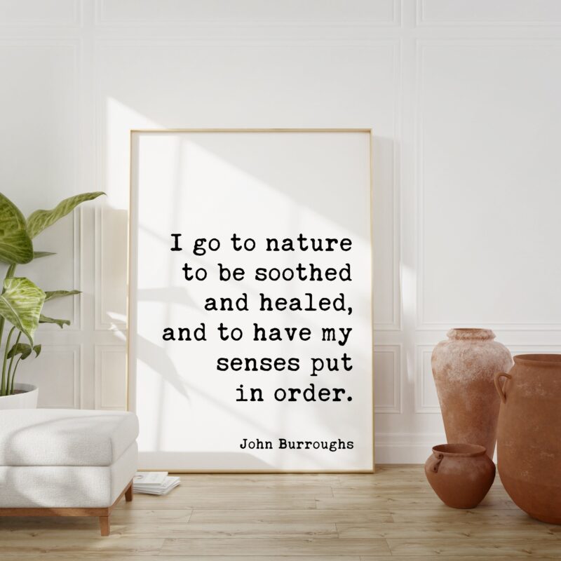 I go to nature to be soothed and healed, and to have my senses put in order. John Burroughs Quote Art Print - Nature Lover  Environmentalist