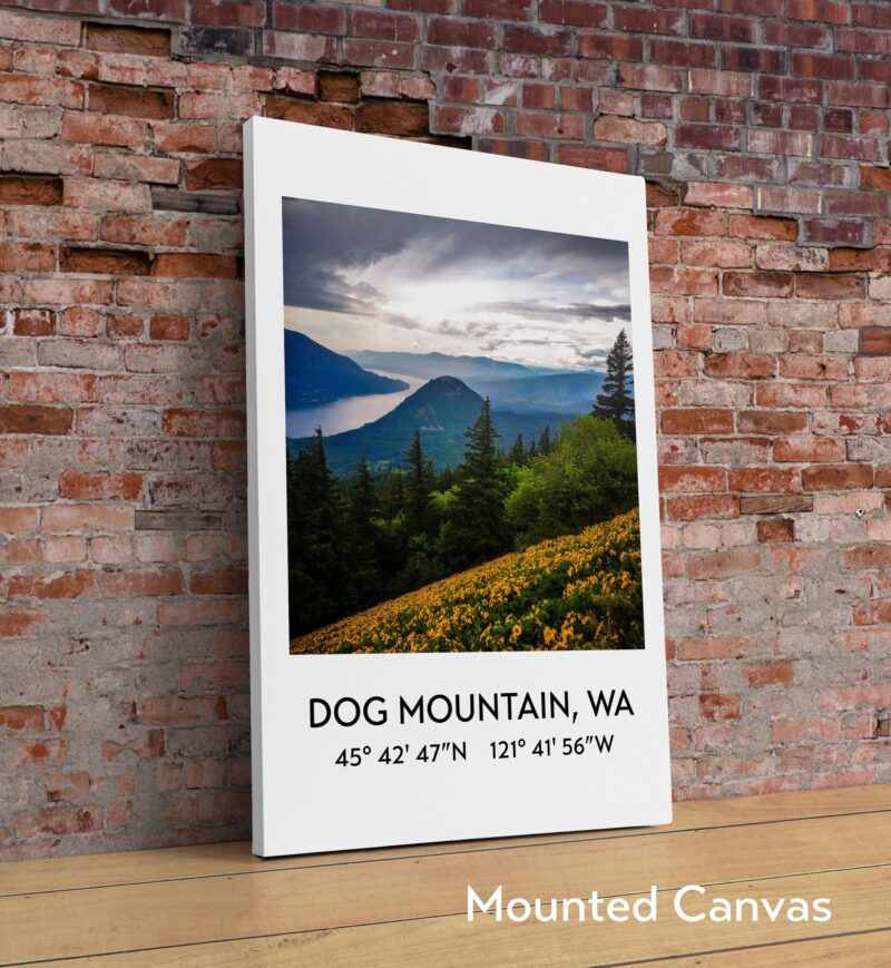 Dog Mountain, Wa at the Columbia River Gorge with GPS Coordinates Art Print - Travel - Hiking - Nature -Flowers - Explore - Photography - Image 2