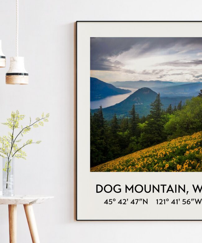 Dog Mountain, Wa at the Columbia River Gorge with GPS Coordinates Art Print - Travel - Hiking - Nature -Flowers - Explore - Photography