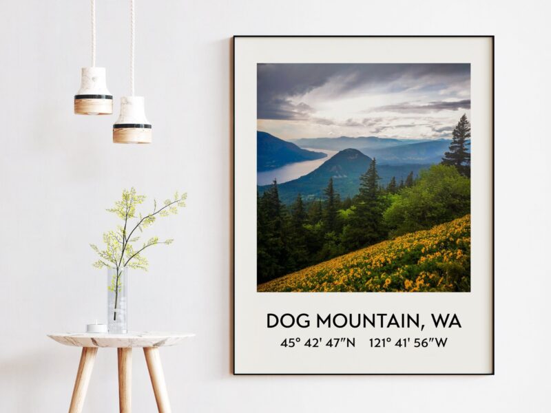 Dog Mountain, Wa at the Columbia River Gorge with GPS Coordinates Art Print - Travel - Hiking - Nature -Flowers - Explore - Photography