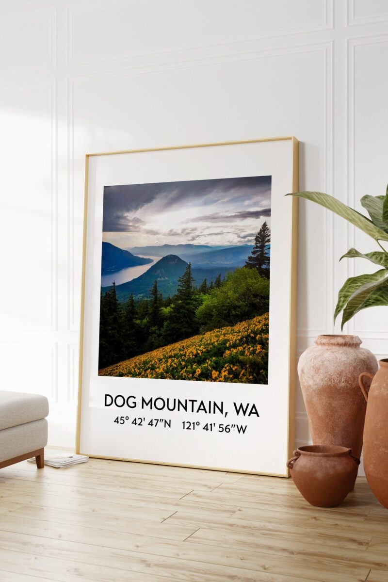 Dog Mountain, Wa at the Columbia River Gorge with GPS Coordinates Art Print - Travel - Hiking - Nature -Flowers - Explore - Photography - Image 3