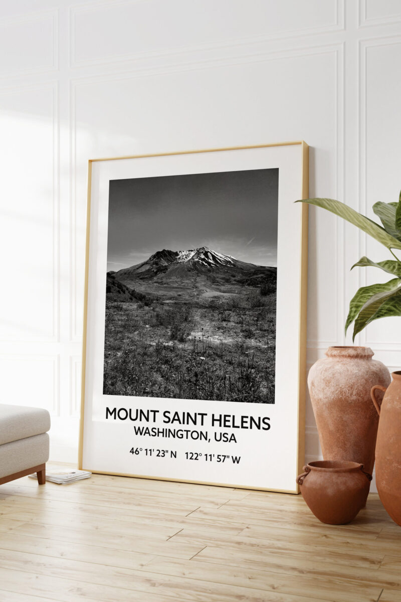 Mount Saint Helens Washington USA with GPS Coordinates Black & White Photography Art Print - Travel - Hiking - Nature - Wildflowers - Image 3