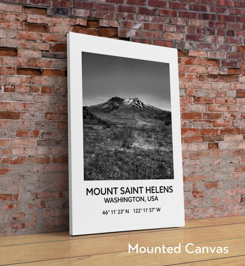 Mount Saint Helens Washington USA with GPS Coordinates Black & White Photography Art Print - Travel - Hiking - Nature - Wildflowers - Image 2