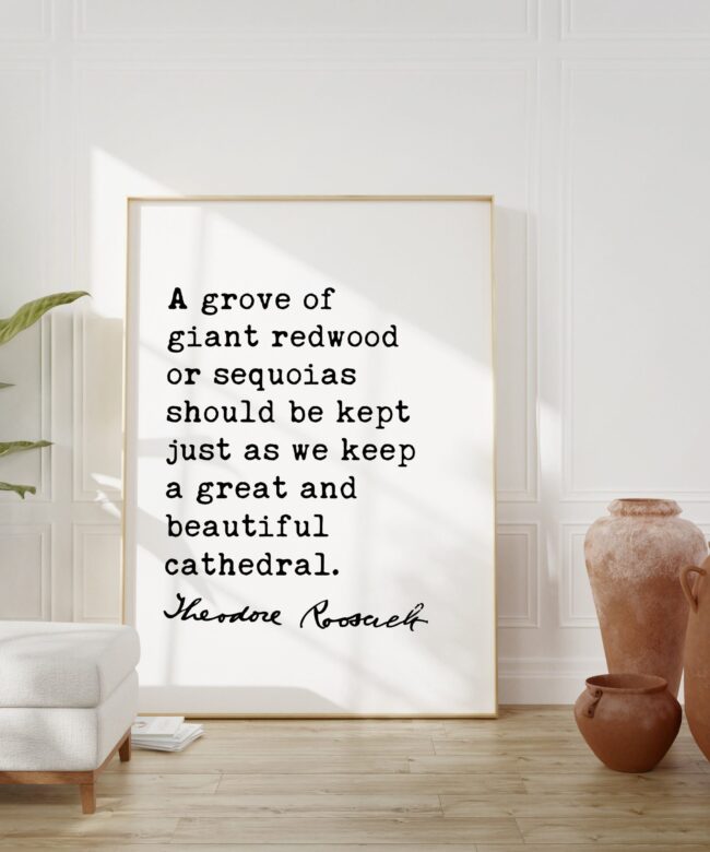 Theodore Roosevelt Quote - A grove of giant redwood or sequoias ... as we keep a great and beautiful cathedral. Art Print - Nature Lover