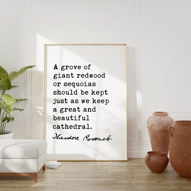 Theodore Roosevelt Quote - A grove of giant redwood or sequoias ... as we keep a great and beautiful cathedral. Art Print - Nature Lover