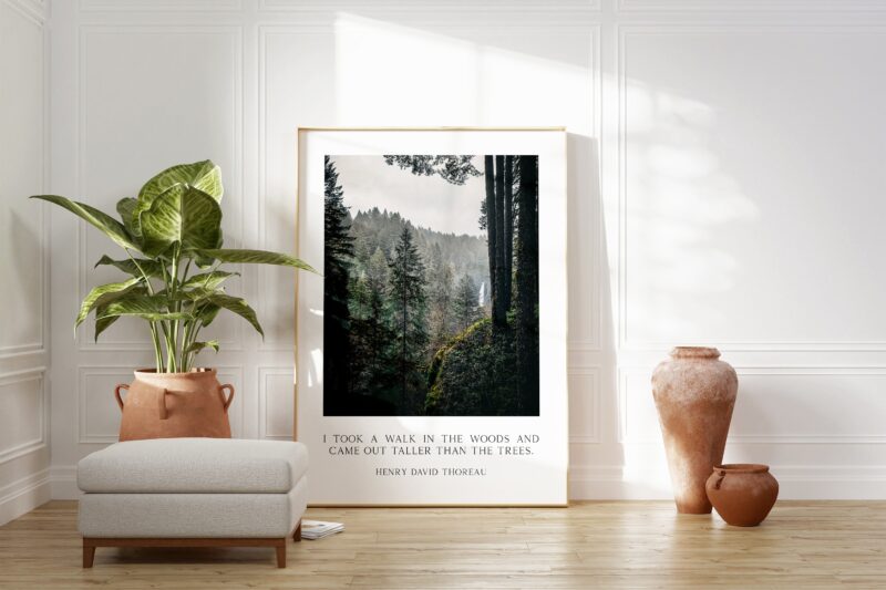 Henry David Thoreau Quote - "I took a walk in the woods and came out taller than the trees." Typography Art Print - Oregon Evergreen Forest