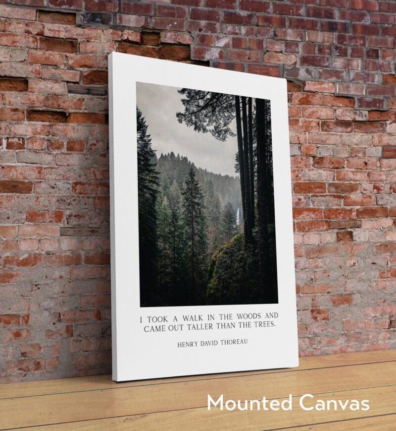 Henry David Thoreau Quote - "I took a walk in the woods and came out taller than the trees." Typography Art Print - Oregon Evergreen Forest - Image 2