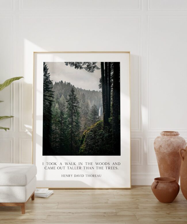 Henry David Thoreau Quote - "I took a walk in the woods and came out taller than the trees." Typography Art Print - Oregon Evergreen Forest