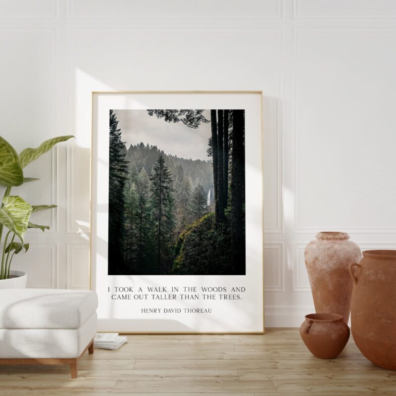 Henry David Thoreau Quote - "I took a walk in the woods and came out taller than the trees." Typography Art Print - Oregon Evergreen Forest