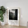 Henry David Thoreau Quote - I went to the woods because I wished to live deliberately...  Typography Art Print - Oregon Forest Photography