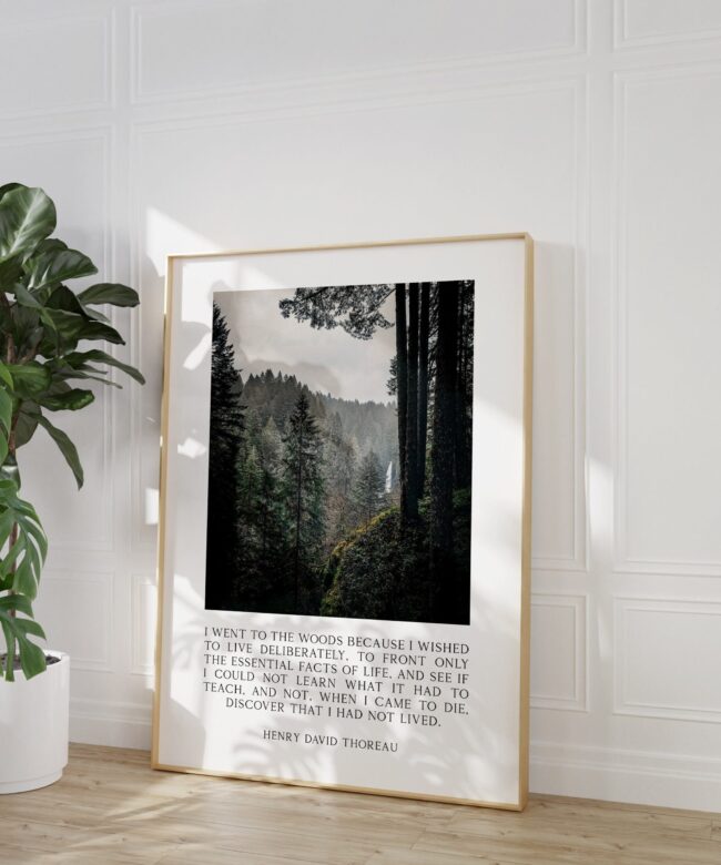 Henry David Thoreau Quote - I went to the woods because I wished to live deliberately...  Typography Art Print - Oregon Forest Photography