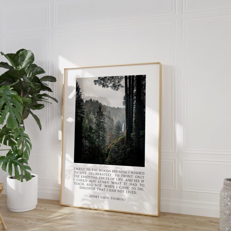 Henry David Thoreau Quote - I went to the woods because I wished to live deliberately...  Typography Art Print - Oregon Forest Photography