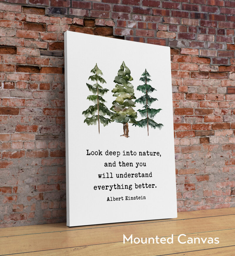 Albert Einstein Quote, Look deep into nature, and then you will understand everything better. Typography Art Print with Evergreen Trees - Image 2