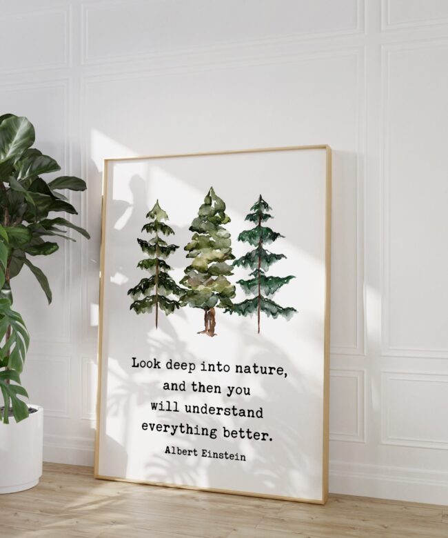 Albert Einstein Quote, Look deep into nature, and then you will understand everything better. Typography Art Print with Evergreen Trees
