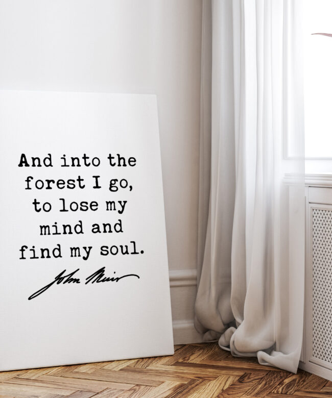 John Muir Quote - And into the forest I go, to lose my mind and find my soul. Low Profile Mounted Canvas Art Print