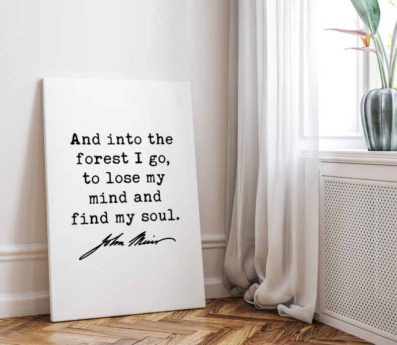 John Muir Quote - And into the forest I go, to lose my mind and find my soul. Low Profile Mounted Canvas Art Print