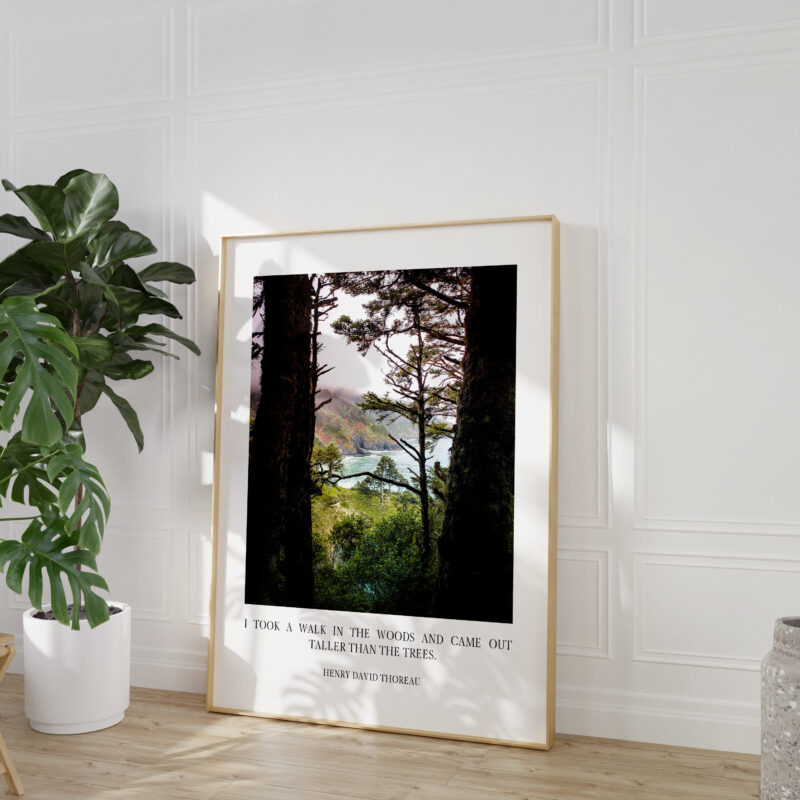 Henry David Thoreau Quote - I took a walk in the woods and came out taller than the trees. Typography Art Print - Oregon Coast - Heceta Head