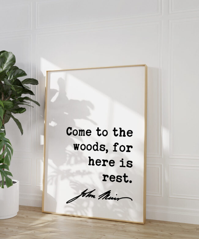 John Muir Quote - Come to the woods, for here is rest. Typography Art Print