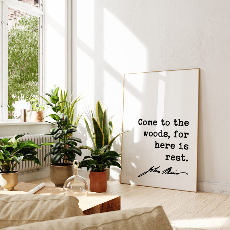 John Muir Quote - Come to the woods, for here is rest. Typography Art Print