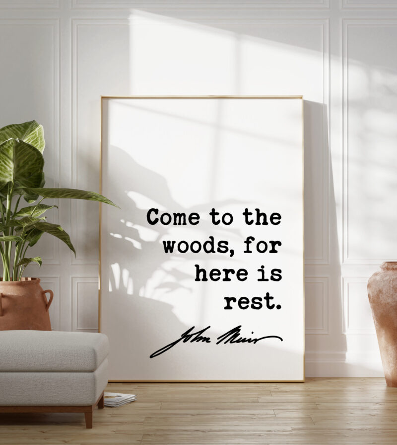 John Muir Quote - Come to the woods, for here is rest. Typography Art Print - Image 6