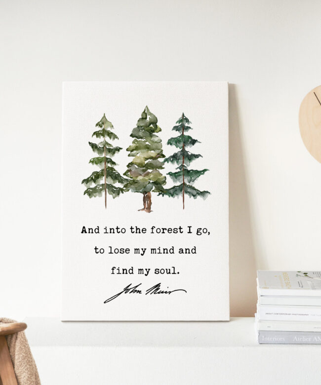 John Muir Quote - And into the forest I go, to lose my mind and find my soul. Low Profile Mounted Canvas Typography Art Print