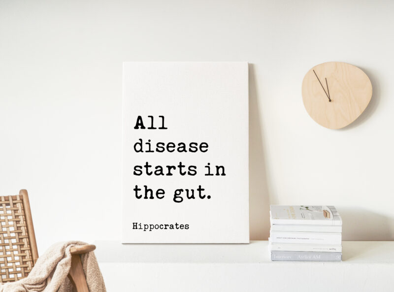 All disease starts in the gut. Hippocrates Quote. Low Profile Mounted Canvas Typography Art Print