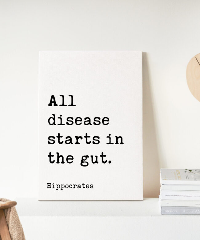 All disease starts in the gut. Hippocrates Quote. Low Profile Mounted Canvas Typography Art Print