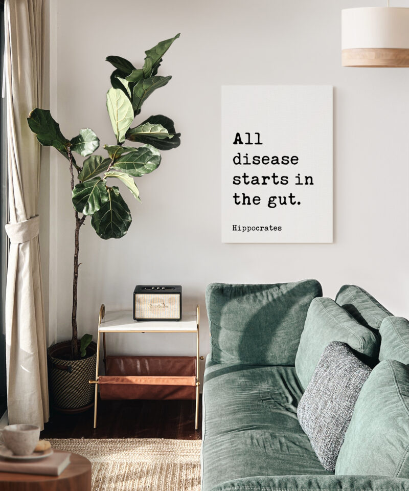 All disease starts in the gut. Hippocrates Quote. Low Profile Mounted Canvas Typography Art Print