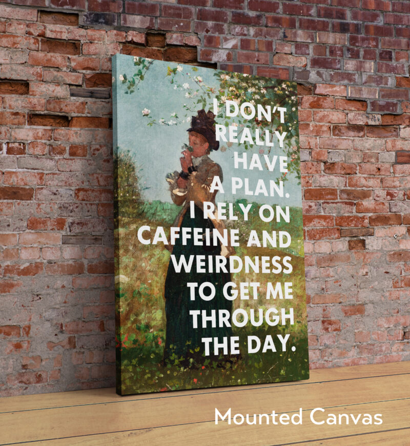 I Don't Really Have A Plan. I Rely On Caffeine and Weirdness To Get Me Through The Day. Typography Art Print