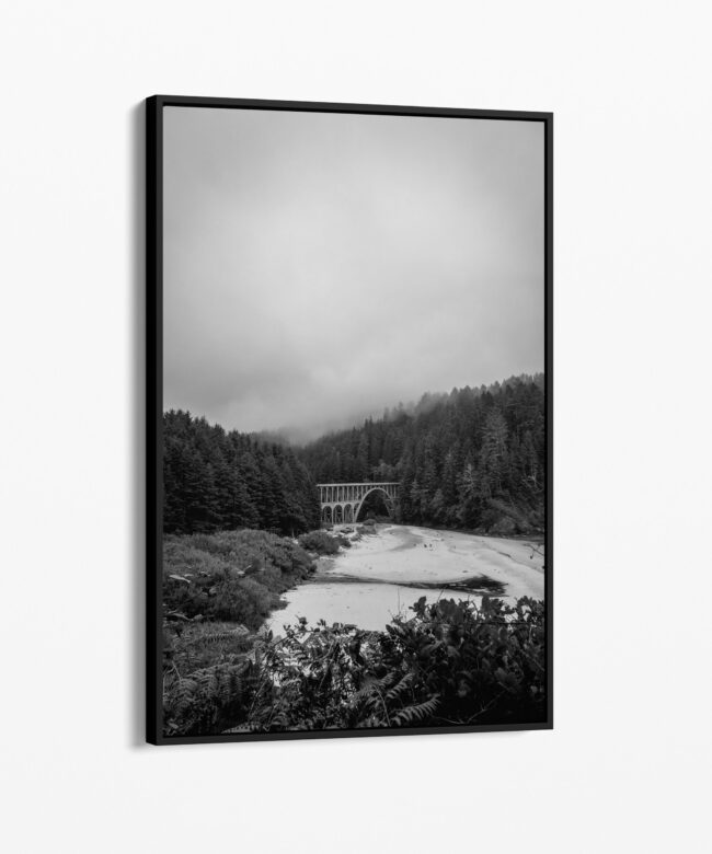 Cape Creek Bridge from Heceta Head, Oregon Coast • Framed Canvas • Black and White Photography