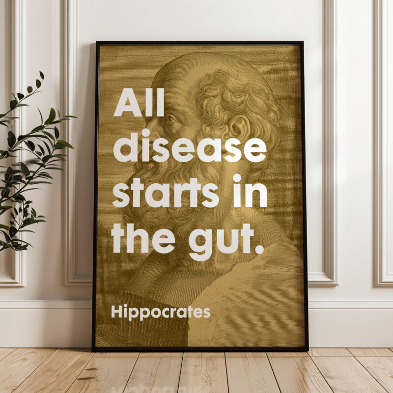 All disease starts in the gut. Hippocrates Quote Typography Art • Wellness • Fitness • Inspiration • Health