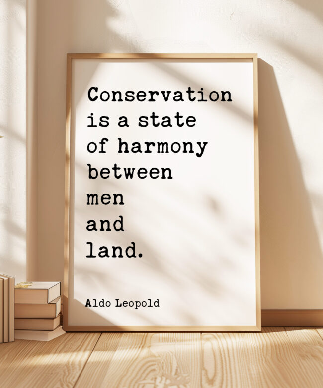 Conservation is a state of harmony between men and land. • Aldo Leopold Quote • Typography Art Print