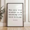 The only true wisdom is in knowing you know nothing. • Socrates Quote •  Typography Art Print